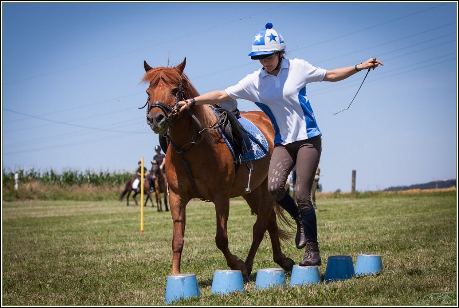 Mounted Games 183